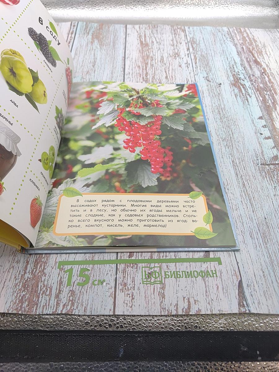 Овощи, Фрукты, Ягоды