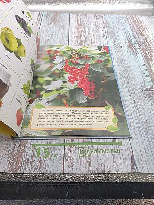 Овощи, Фрукты, Ягоды