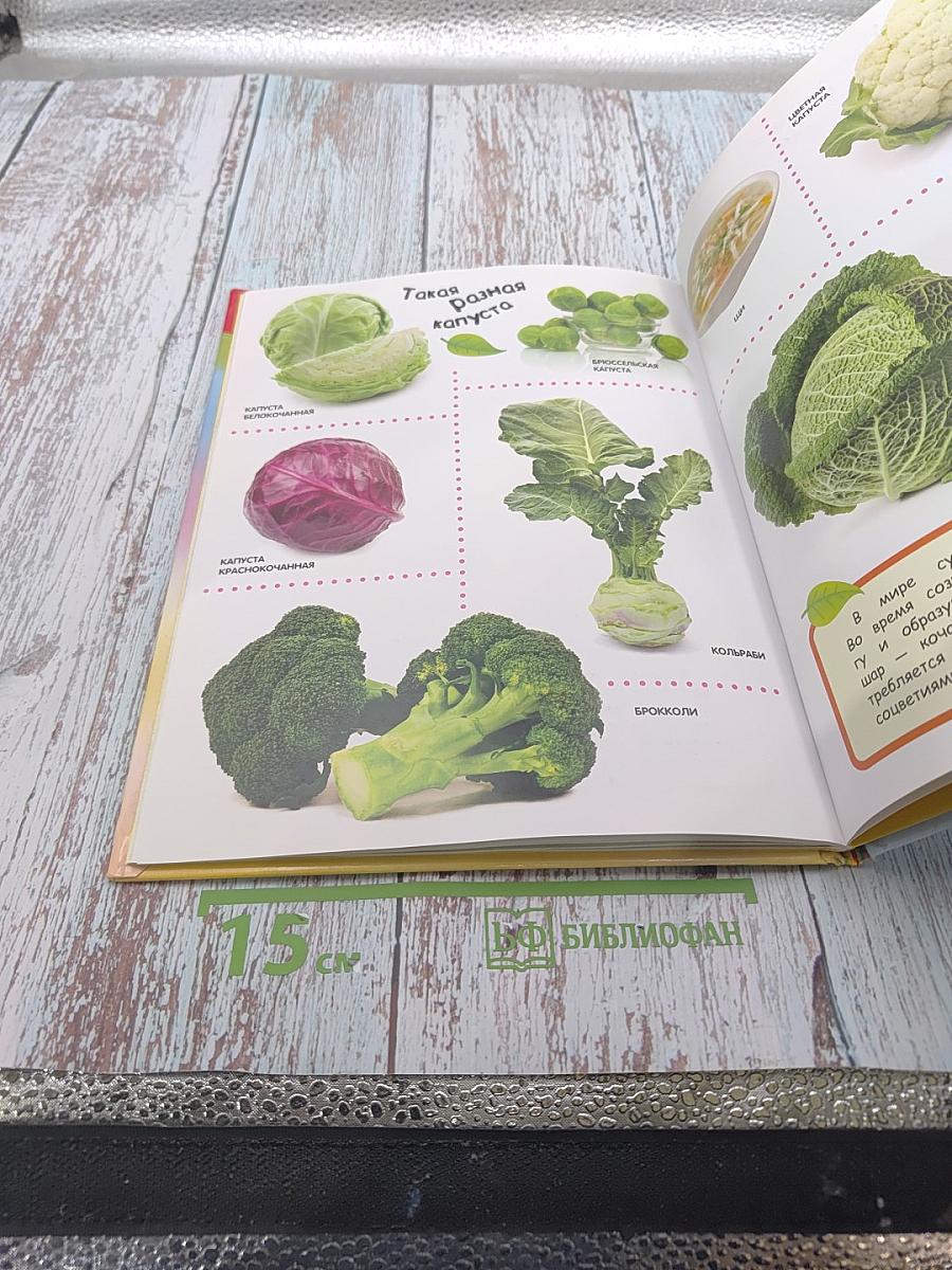 Овощи, Фрукты, Ягоды