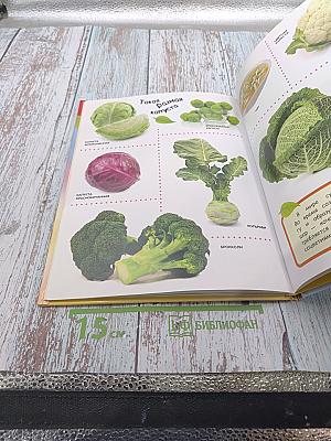 Овощи, Фрукты, Ягоды