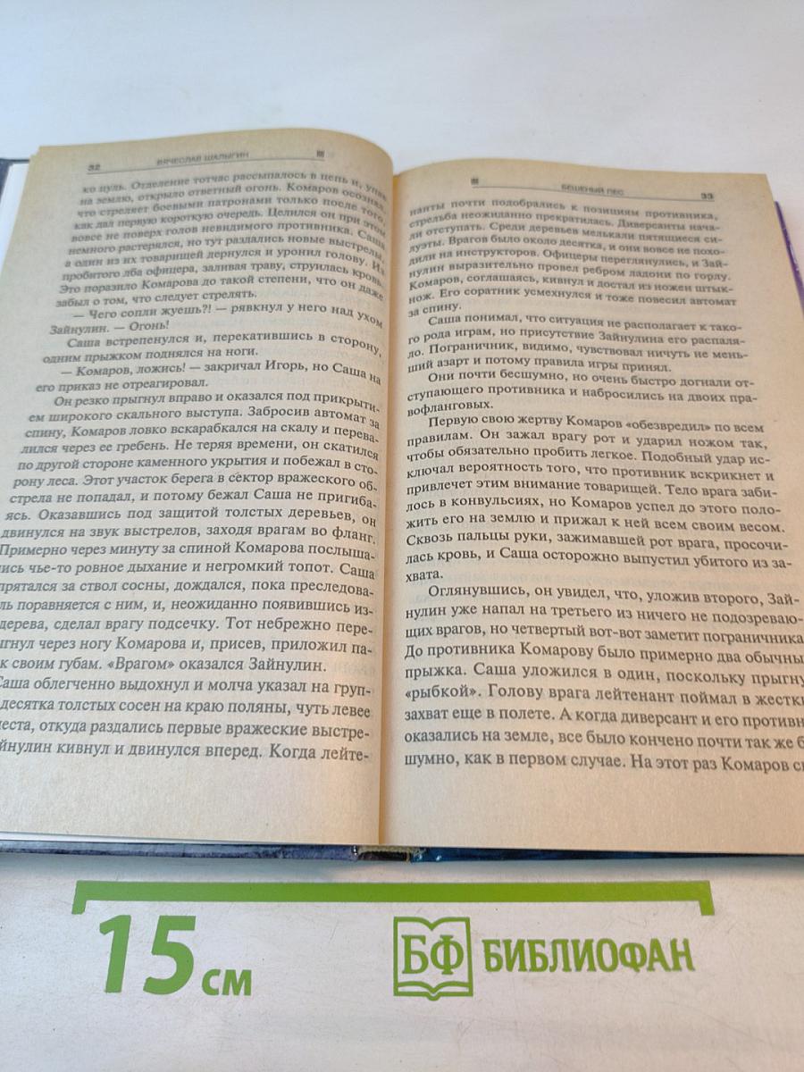 Бешеный пес