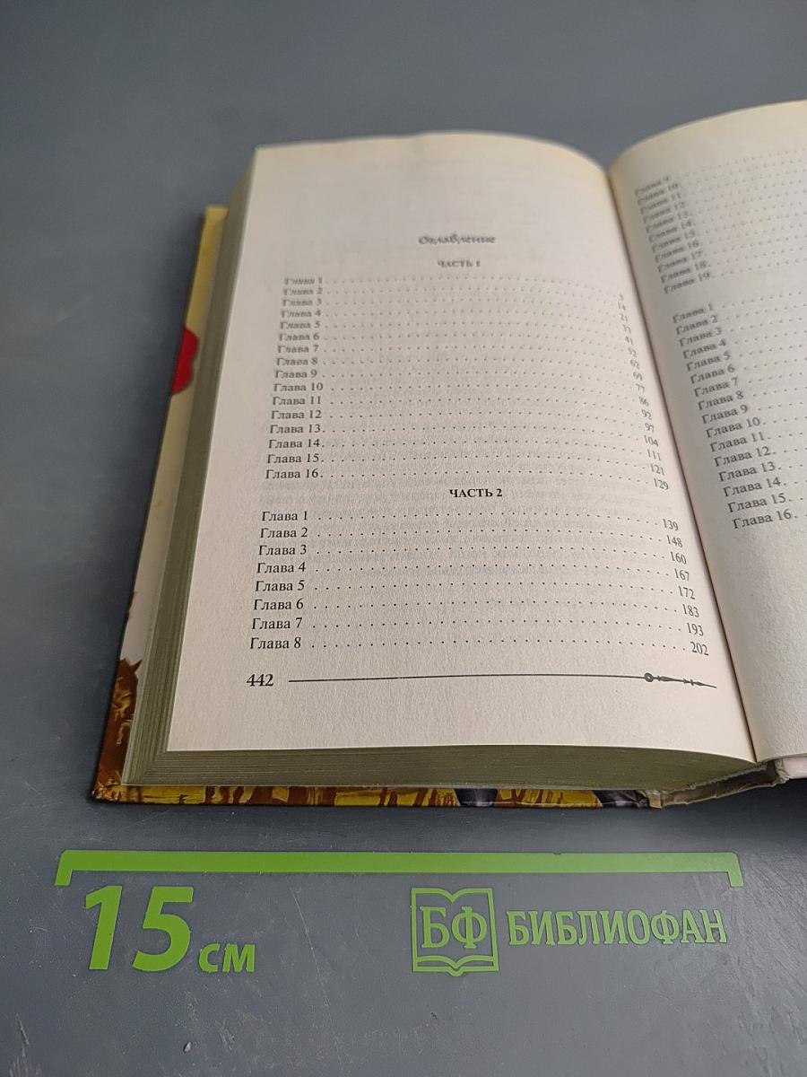 Ричард Длинные Руки - лорд-протектор