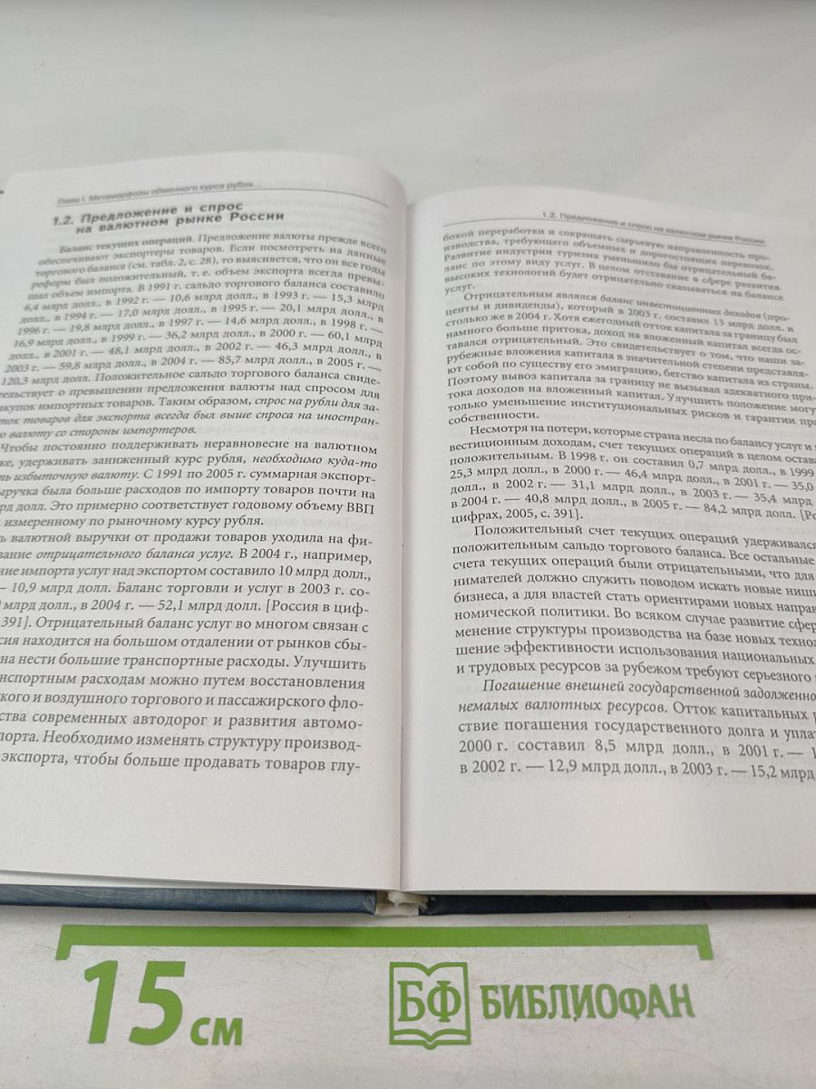 Переходная экономика России: Экономика кривых зеркал