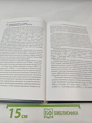 Переходная экономика России: Экономика кривых зеркал