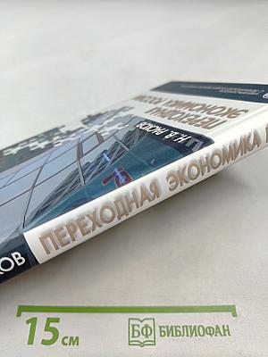 Переходная экономика России: Экономика кривых зеркал