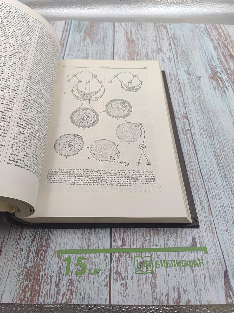 Большая медицинская энциклопедия Том 21 Новорожденный-Органотерапия