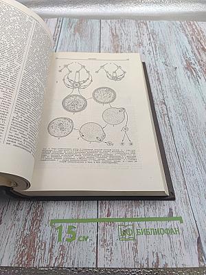 Большая медицинская энциклопедия Том 21 Новорожденный-Органотерапия