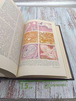 Большая медицинская энциклопедия Том 21 Новорожденный-Органотерапия