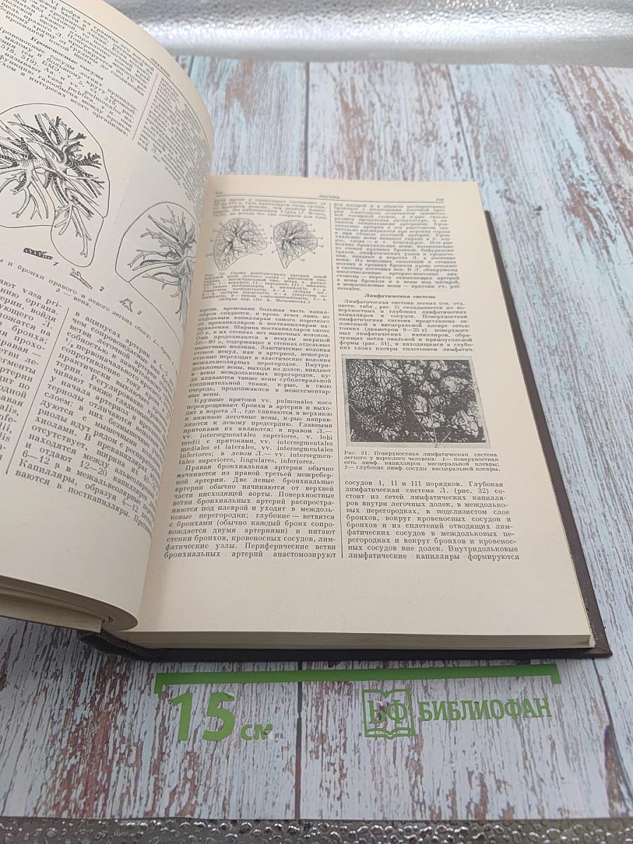 Большая Медицинская Энциклопедия. Том 15: Курт-Лимфоциты