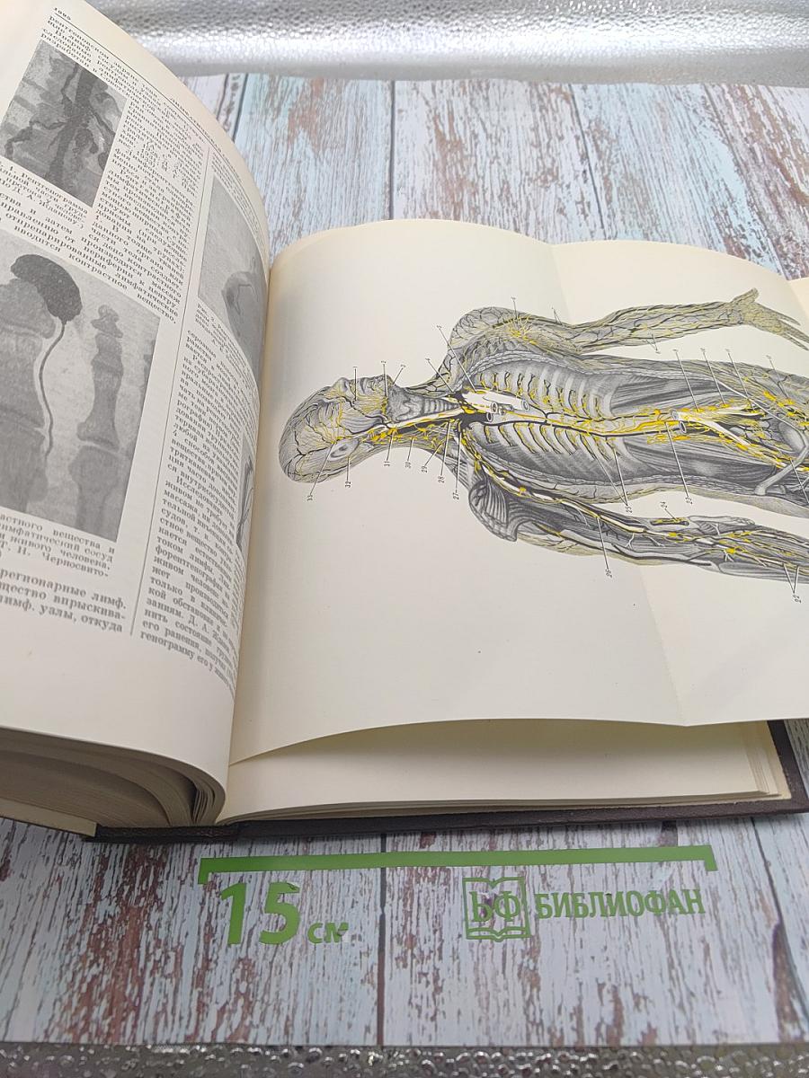 Большая Медицинская Энциклопедия. Том 15: Курт-Лимфоциты