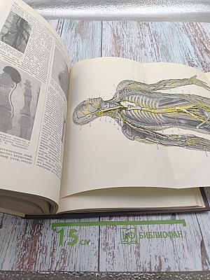 Большая Медицинская Энциклопедия. Том 15: Курт-Лимфоциты