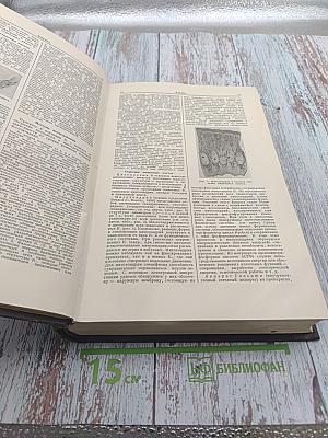 Большая медицинская энциклопедия. Том 13. Клетка - Косолапость