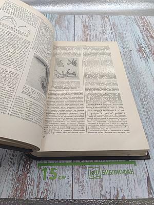 Большая медицинская энциклопедия. Том 13. Клетка - Косолапость