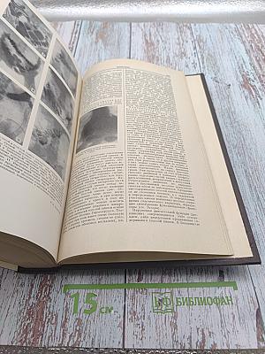 Большая медицинская энциклопедия. Том 12: Калориметрия-Клеол