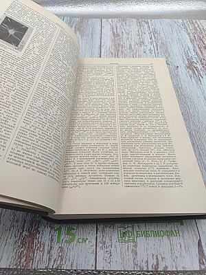 Большая медицинская энциклопедия. Том 11: Ивонич-Каломель