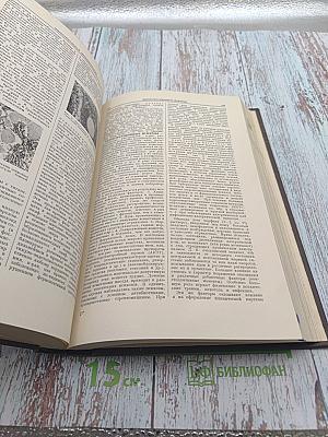 Большая медицинская энциклопедия. Том 11: Ивонич-Каломель