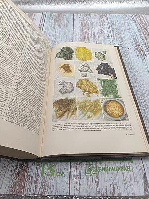 Большая медицинская энциклопедия. Том 11: Ивонич-Каломель