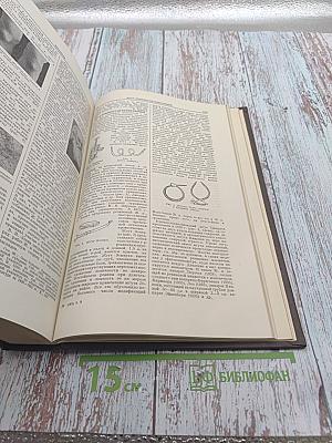 Большая медицинская энциклопедия. Том 9: Десна - Желток