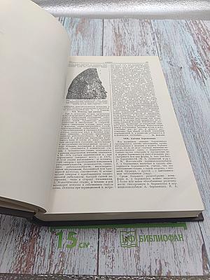 Большая медицинская энциклопедия. Том 2. Ангиохолит - Аюрведа