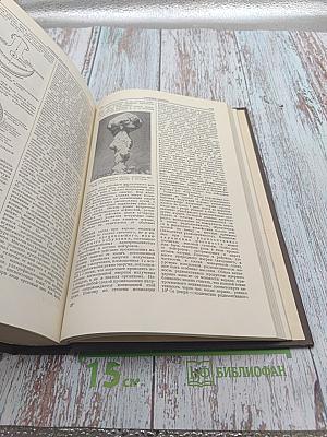 Большая медицинская энциклопедия. Том 2. Ангиохолит - Аюрведа