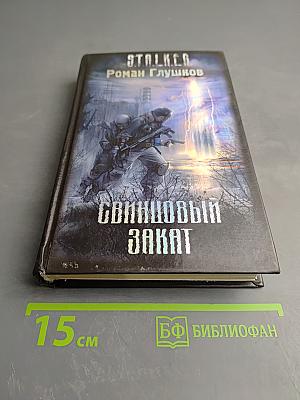S.T.A.L.K.E.R. Свинцовый закат