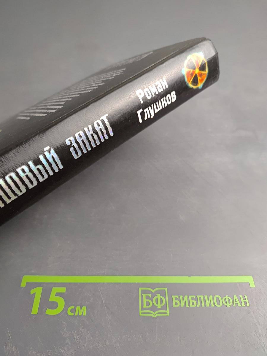 S.T.A.L.K.E.R. Свинцовый закат