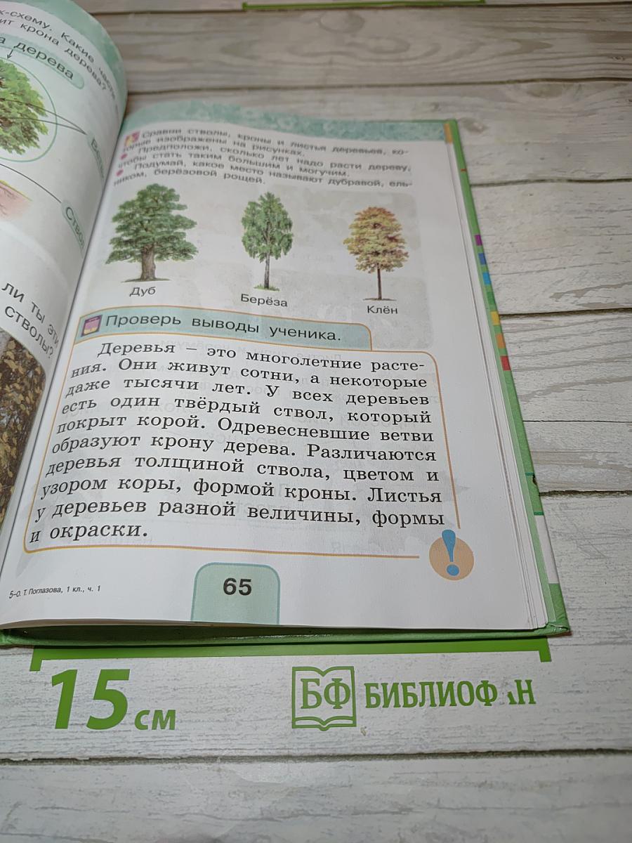 Окружающий мир 1 класс, Часть первая