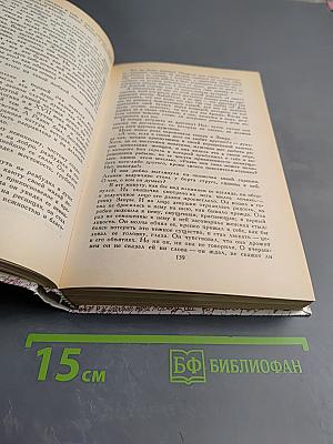 За чьи грехи? Великий раскол