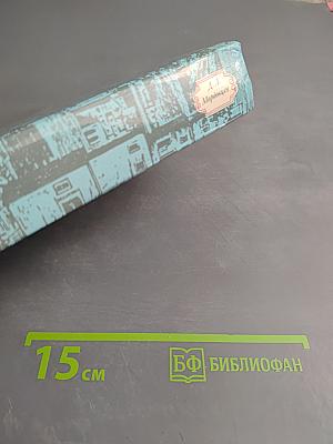 За чьи грехи? Великий раскол