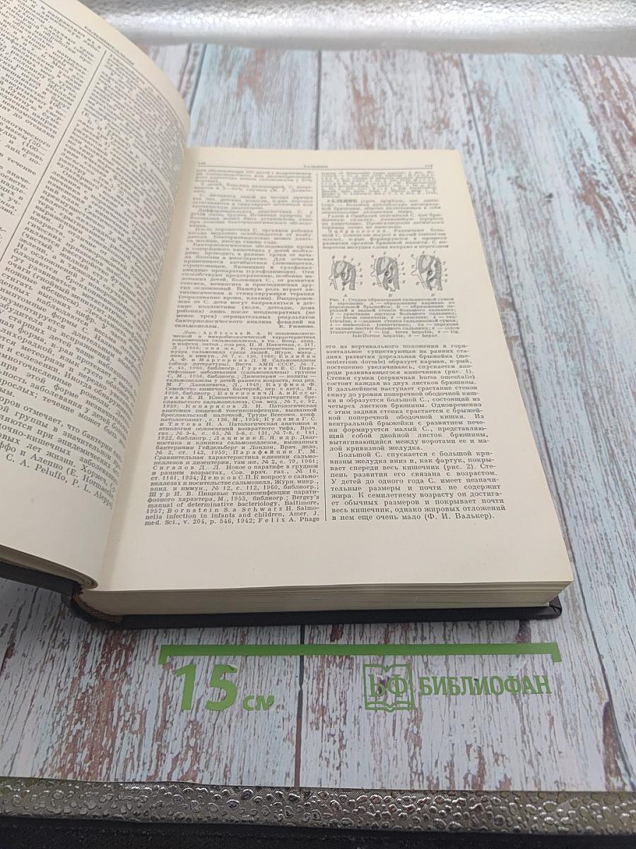 Большая медицинская энциклопедия. Том 29: Рупия — Серотерапия