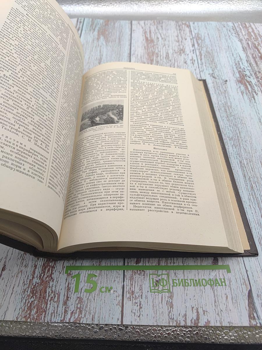 Большая медицинская энциклопедия. Том 23. ПАНКРЕАТИТ-ПЕРСИК