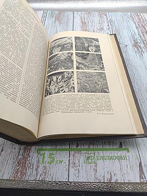 Большая медицинская энциклопедия. Том 23. ПАНКРЕАТИТ-ПЕРСИК