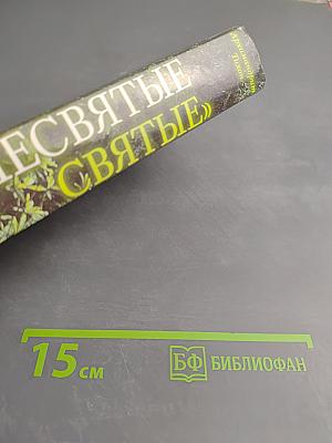 Несвятые святые и другие рассказы