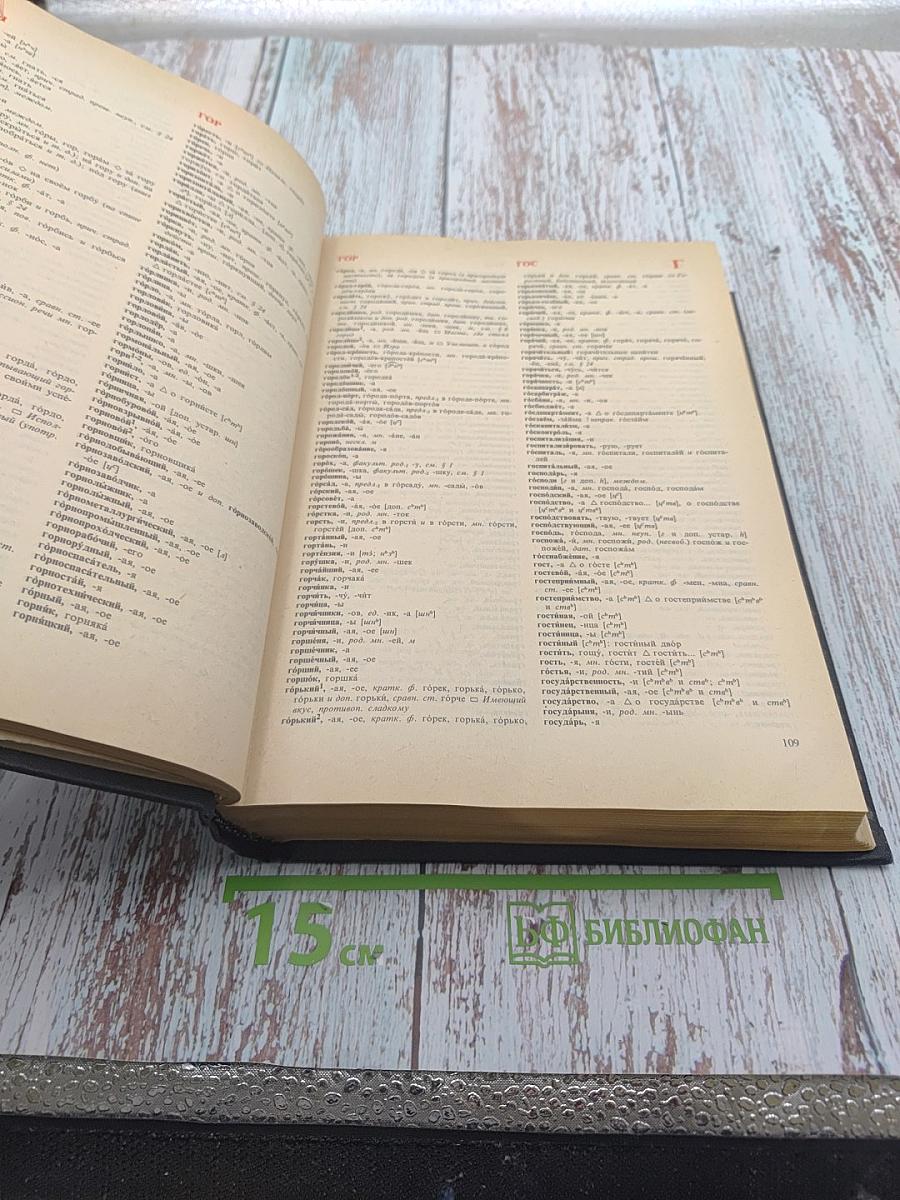 Орфоэпический словарь русского языка. Произношение, ударение, грамматические формы