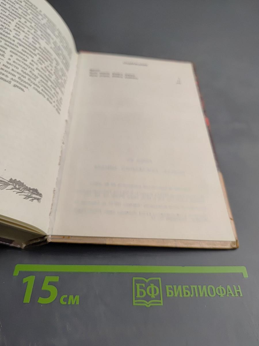 Монах: последний зиндзя