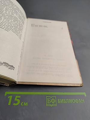 Монах: последний зиндзя