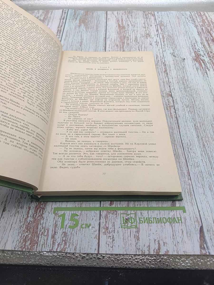 Похождения бравого солдата Швейка