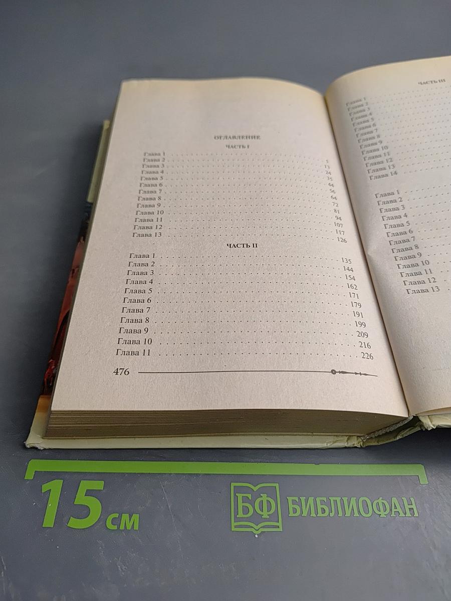 Ричард Длинные Руки - пфальцграф