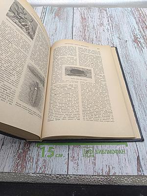 Жизнь животных. Том III. Пресмыкающиеся. Земноводные. Беспозвоночные