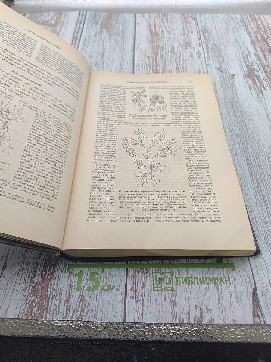 Жизнь животных. Том I. Млекопитающие