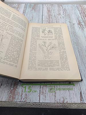 Жизнь животных. Том I. Млекопитающие