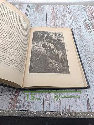 Жизнь животных. Том I. Млекопитающие