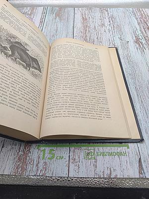 Жизнь животных. Том I. Млекопитающие