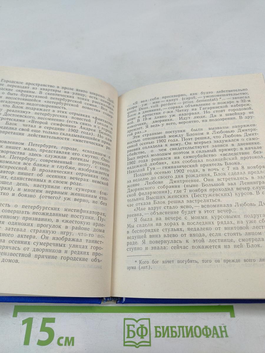 Блок в Петербурге - Петрограде