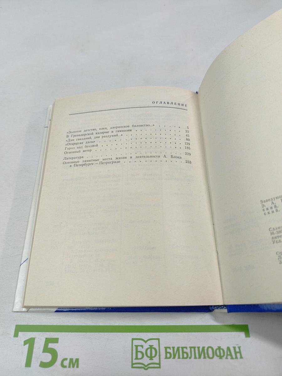 Блок в Петербурге - Петрограде