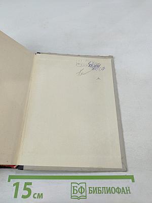 Злая звезда