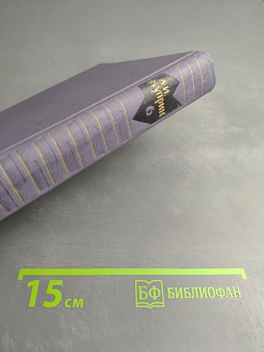 Собрание сочинений в девяти томах. Том 6