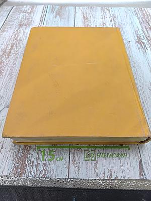 Детская энциклопедия. Том 7. Из истории человеческого общества