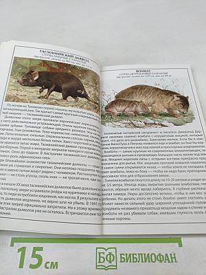 Иллюстрированный справочник Животные