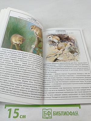 Иллюстрированный справочник Животные